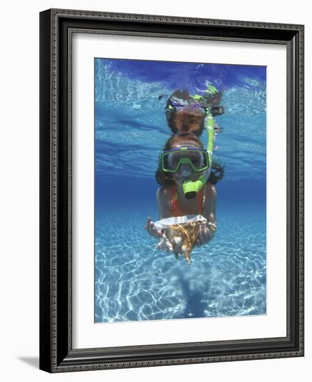 Snorkeling in the Blue Waters of the Bahamas-Greg Johnston-Framed Photographic Print