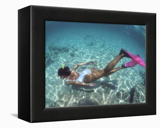 Snorkeling the Bimini Road, North Bimini, out Islands of the Bahamas-Greg Johnston-Framed Premier Image Canvas