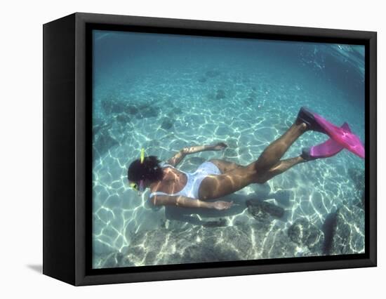 Snorkeling the Bimini Road, North Bimini, out Islands of the Bahamas-Greg Johnston-Framed Premier Image Canvas