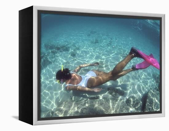 Snorkeling the Bimini Road, North Bimini, out Islands of the Bahamas-Greg Johnston-Framed Premier Image Canvas