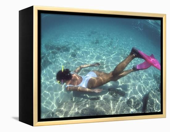 Snorkeling the Bimini Road, North Bimini, out Islands of the Bahamas-Greg Johnston-Framed Premier Image Canvas