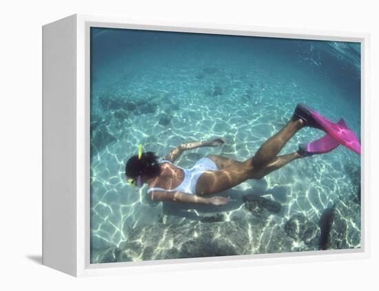 Snorkeling the Bimini Road, North Bimini, out Islands of the Bahamas-Greg Johnston-Framed Premier Image Canvas