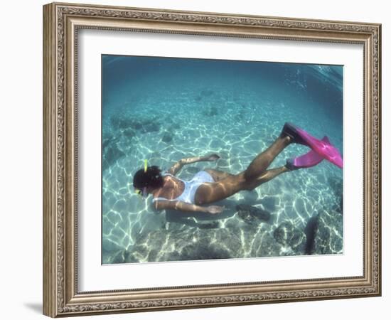 Snorkeling the Bimini Road, North Bimini, out Islands of the Bahamas-Greg Johnston-Framed Photographic Print