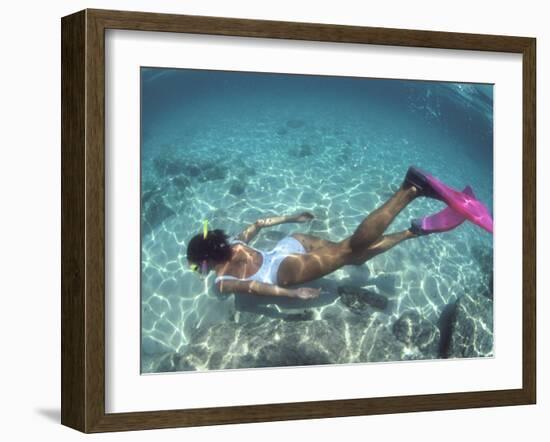 Snorkeling the Bimini Road, North Bimini, out Islands of the Bahamas-Greg Johnston-Framed Photographic Print