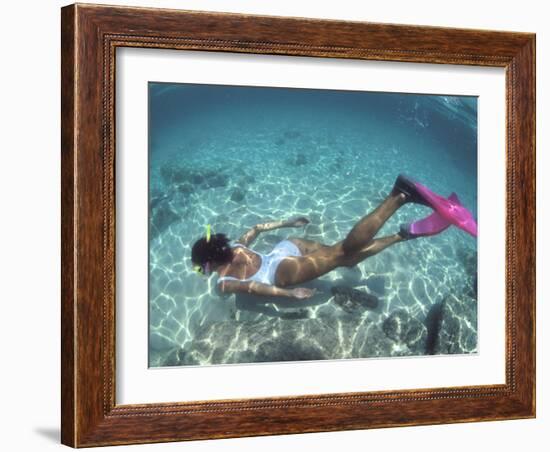 Snorkeling the Bimini Road, North Bimini, out Islands of the Bahamas-Greg Johnston-Framed Photographic Print