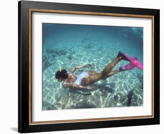 Snorkeling the Bimini Road, North Bimini, out Islands of the Bahamas-Greg Johnston-Framed Photographic Print