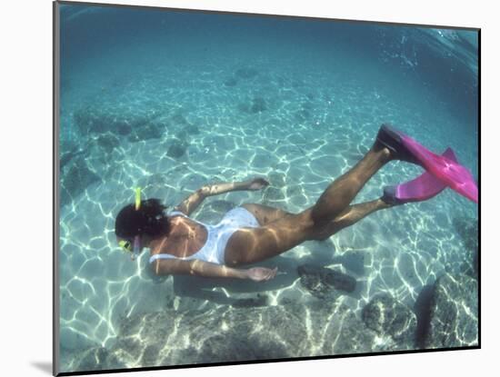 Snorkeling the Bimini Road, North Bimini, out Islands of the Bahamas-Greg Johnston-Mounted Photographic Print