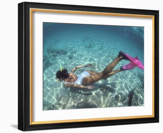 Snorkeling the Bimini Road, North Bimini, out Islands of the Bahamas-Greg Johnston-Framed Photographic Print