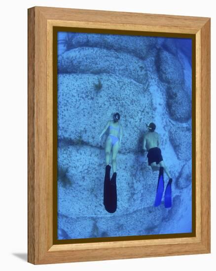 Snorkeling the Bimini Road, North Bimini, out Islands of the Bahamas-Greg Johnston-Framed Premier Image Canvas