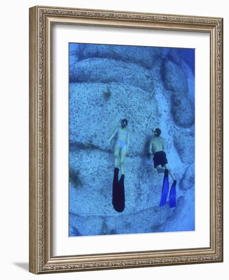 Snorkeling the Bimini Road, North Bimini, out Islands of the Bahamas-Greg Johnston-Framed Photographic Print