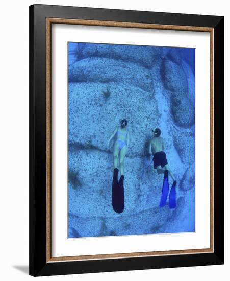 Snorkeling the Bimini Road, North Bimini, out Islands of the Bahamas-Greg Johnston-Framed Photographic Print