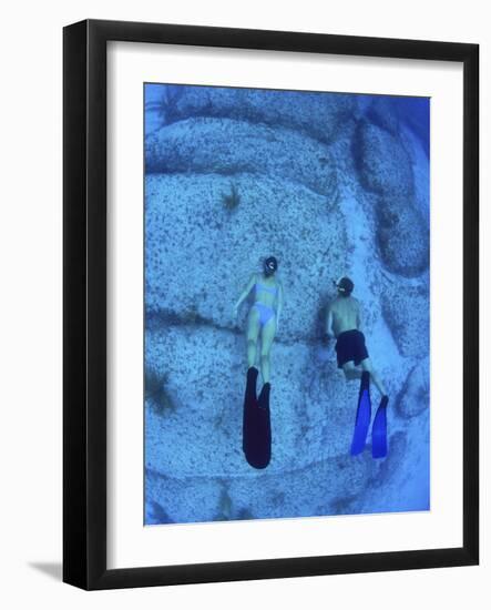 Snorkeling the Bimini Road, North Bimini, out Islands of the Bahamas-Greg Johnston-Framed Photographic Print