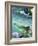 Snorkeling-Karen Williams-Framed Photographic Print