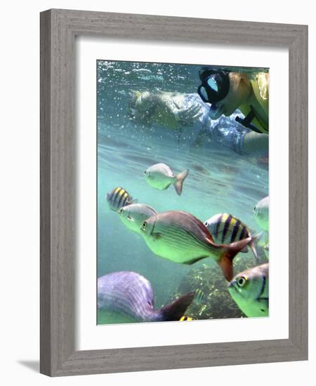 Snorkeling-Karen Williams-Framed Photographic Print