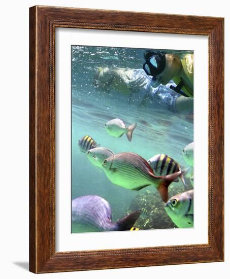 Snorkeling-Karen Williams-Framed Photographic Print