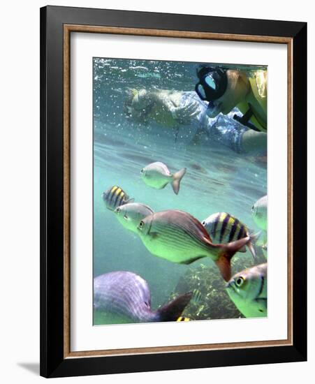 Snorkeling-Karen Williams-Framed Photographic Print