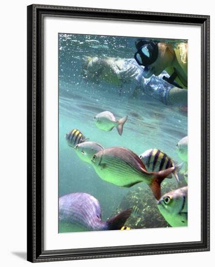 Snorkeling-Karen Williams-Framed Photographic Print