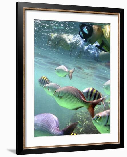 Snorkeling-Karen Williams-Framed Photographic Print