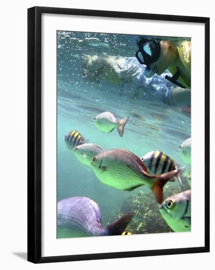 Snorkeling-Karen Williams-Framed Photographic Print