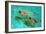 Snorkellers-William Ireland-Framed Giclee Print