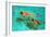 Snorkellers-William Ireland-Framed Giclee Print