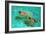 Snorkellers-William Ireland-Framed Giclee Print