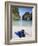 Snorkelling Equipment on Beach, Ao Maya, Ko Phi Phi Leh, Thailand-Ian Trower-Framed Photographic Print