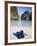 Snorkelling Equipment on Beach, Ao Maya, Ko Phi Phi Leh, Thailand-Ian Trower-Framed Photographic Print