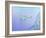 Snorklers-William Ireland-Framed Giclee Print