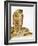 Snouted Cobra-Martin Harvey-Framed Photographic Print