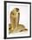 Snouted Cobra-Martin Harvey-Framed Photographic Print