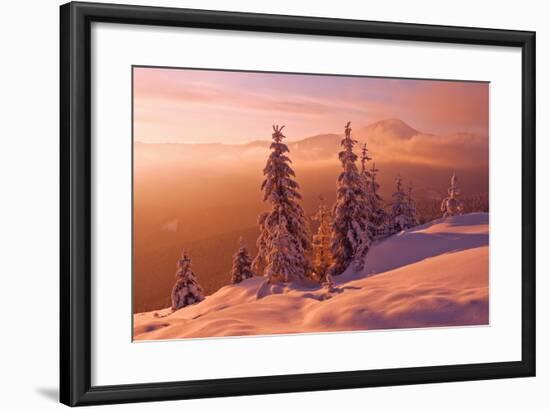 Snovy Trees on Winter Mountains-mr. Smith-Framed Photographic Print