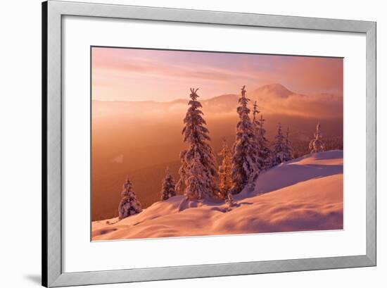 Snovy Trees on Winter Mountains-mr. Smith-Framed Photographic Print