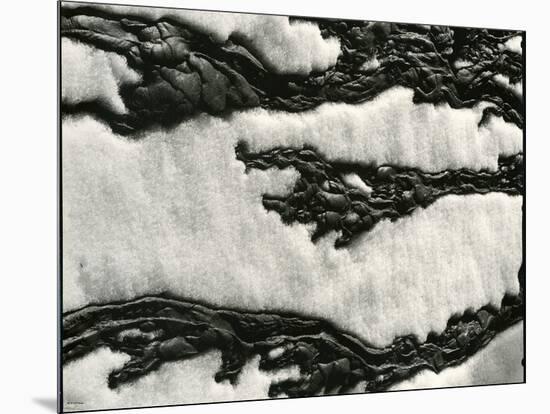 Snow, 1954-Brett Weston-Mounted Premium Photographic Print
