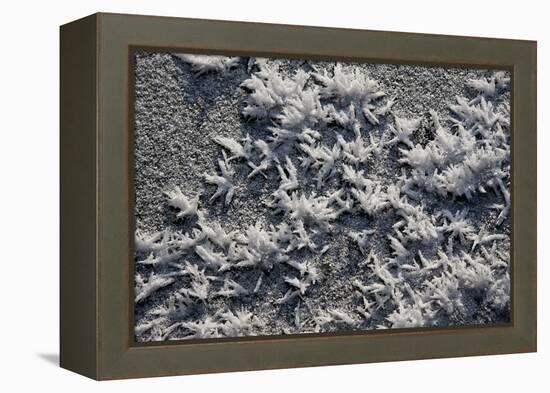 Snow and Ice-K.B. White-Framed Premier Image Canvas