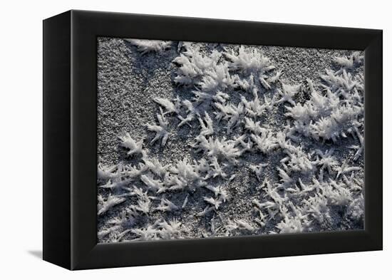 Snow and Ice-K.B. White-Framed Premier Image Canvas