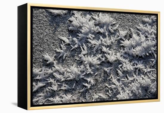 Snow and Ice-K.B. White-Framed Premier Image Canvas