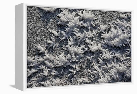 Snow and Ice-K.B. White-Framed Premier Image Canvas