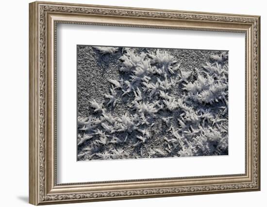 Snow and Ice-K.B. White-Framed Photographic Print