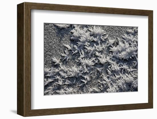 Snow and Ice-K.B. White-Framed Photographic Print