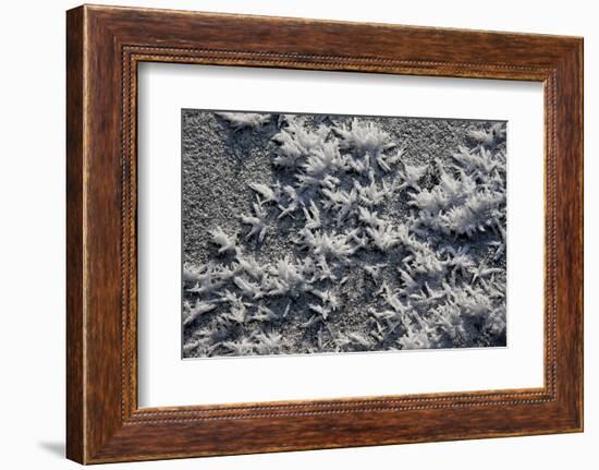 Snow and Ice-K.B. White-Framed Photographic Print