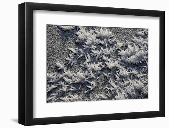 Snow and Ice-K.B. White-Framed Photographic Print