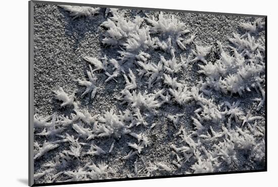 Snow and Ice-K.B. White-Mounted Photographic Print