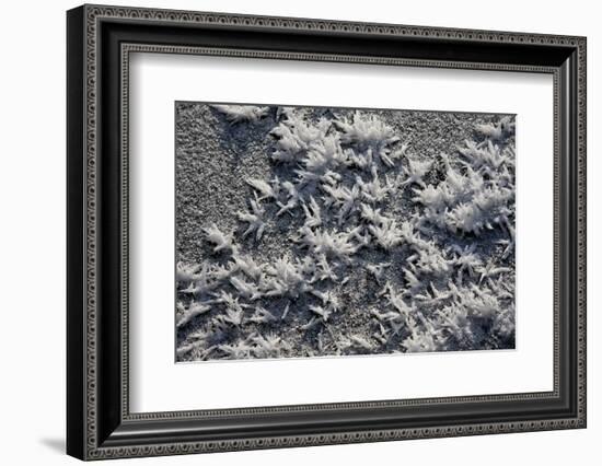 Snow and Ice-K.B. White-Framed Photographic Print