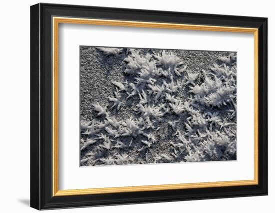 Snow and Ice-K.B. White-Framed Photographic Print