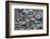 Snow and Ice-K.B. White-Framed Photographic Print