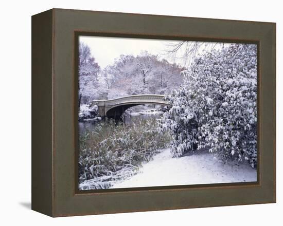 Snow at Bow Bridge in Central Park-Alan Schein-Framed Premier Image Canvas
