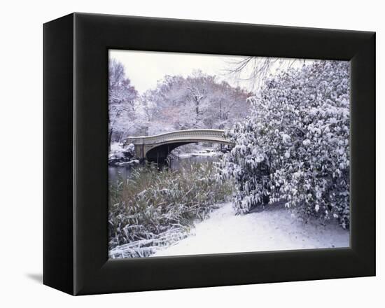 Snow at Bow Bridge in Central Park-Alan Schein-Framed Premier Image Canvas