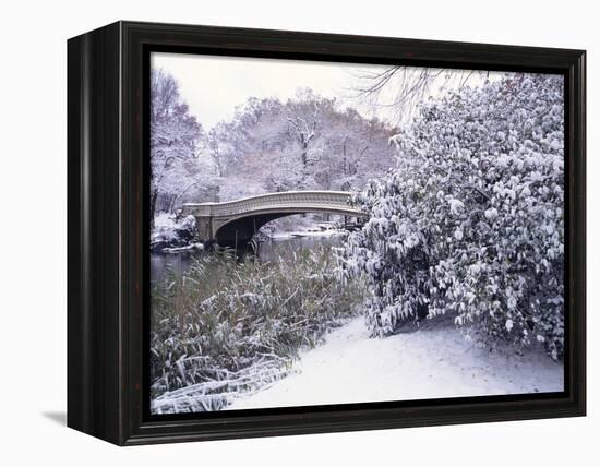 Snow at Bow Bridge in Central Park-Alan Schein-Framed Premier Image Canvas