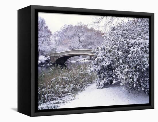 Snow at Bow Bridge in Central Park-Alan Schein-Framed Premier Image Canvas